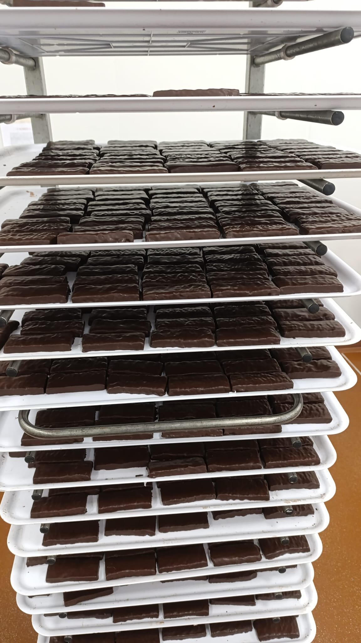 AminoLactive Bar Cocco